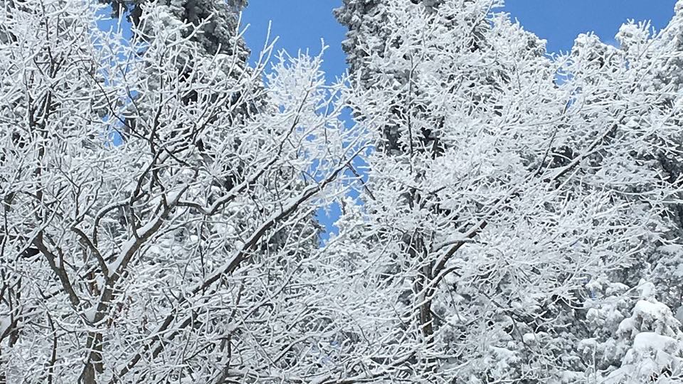 Forest and hills of Nathia Gali in the Galyat, Khyber Pakhtunkhwa